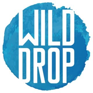 Wild Drop Surf School & Surfcamp logo